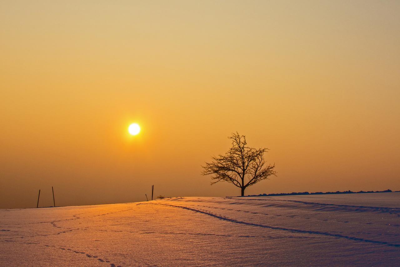 'zum Alten Turm' 2*